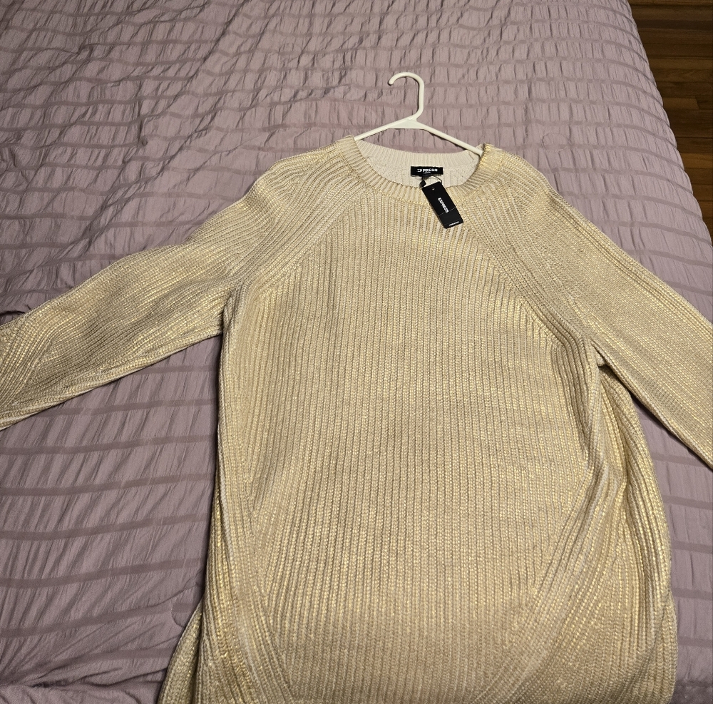 Brand New Express Cream Knit Sweater